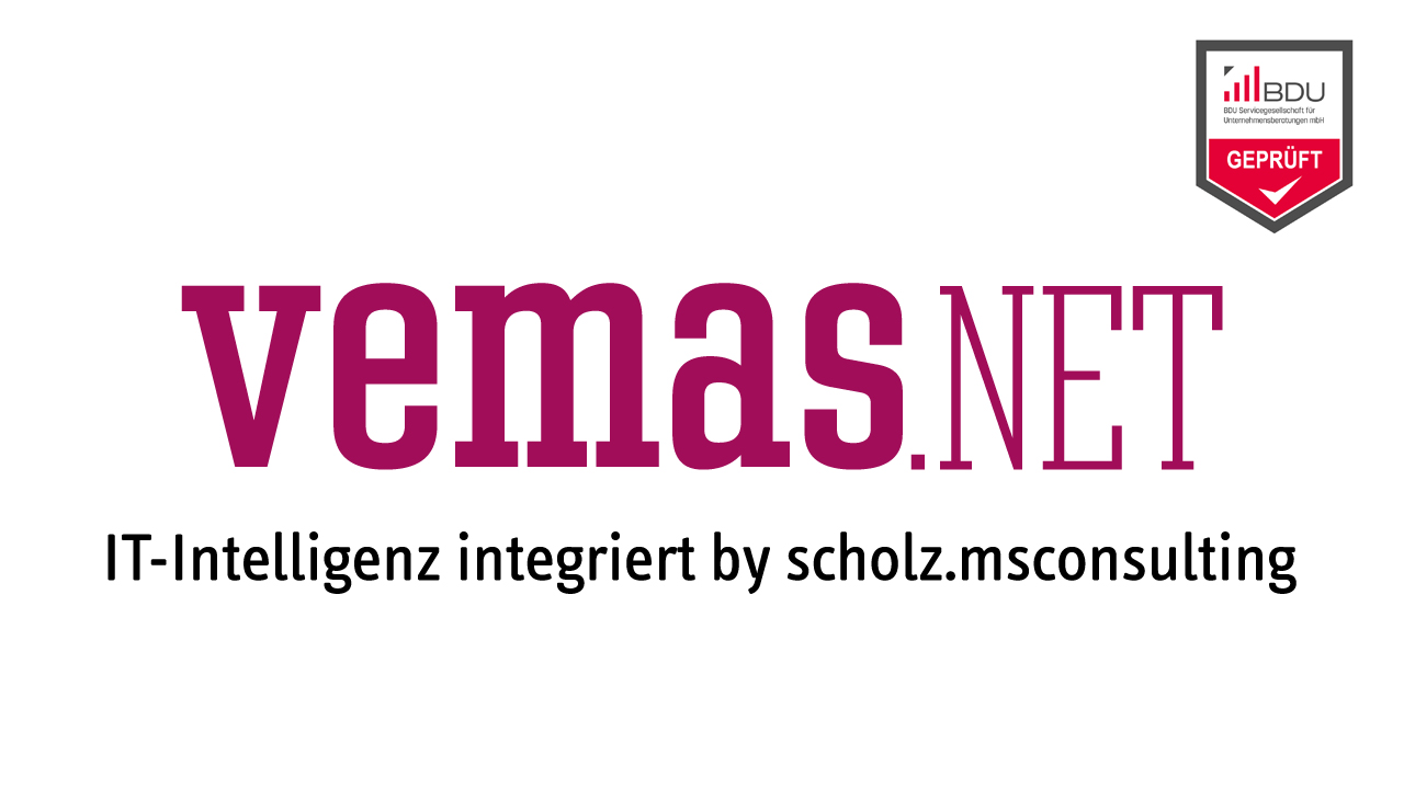 Logo Vemas.NET by scholz.msconsulting GmbH