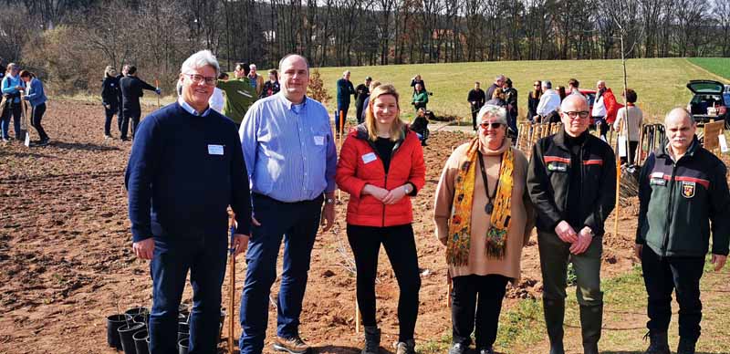 Verbandswald-Initiative schafft zusätzliche Waldfläche